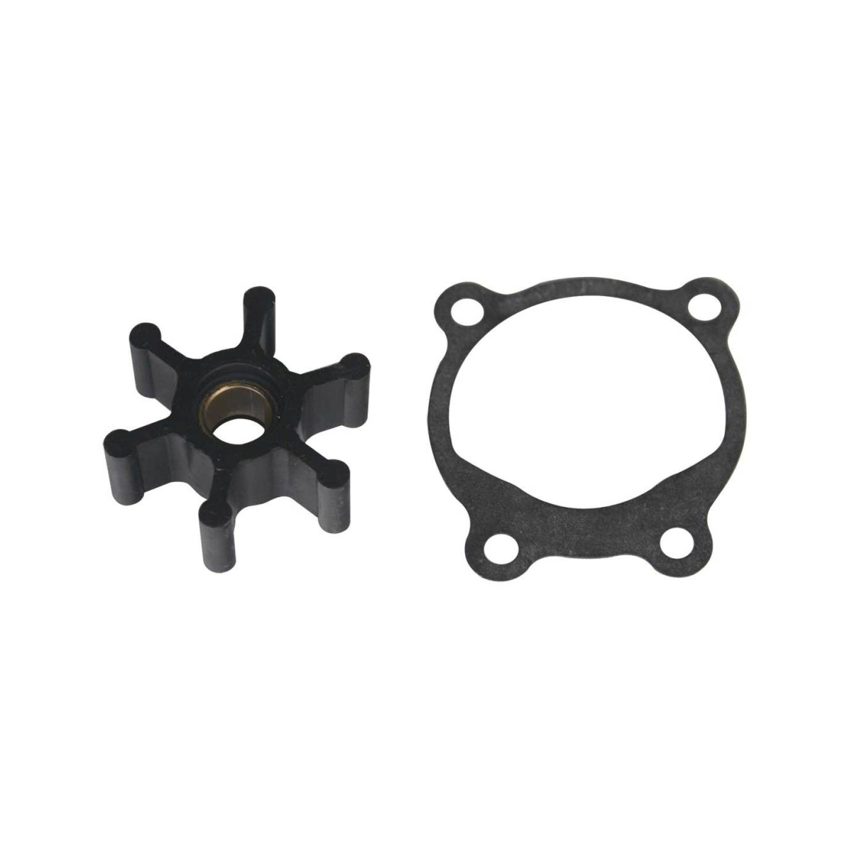Repair Kit For Op 4 And Op 6 Oil Change Pumps