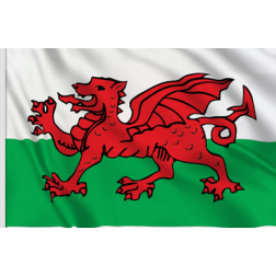 Annin Wales Flag - Printed Nylon