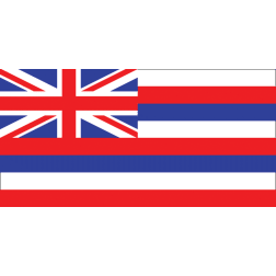 Hawaiian State Flag