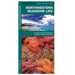 wfp006 of Nautical Books Northwestern Seashore Life