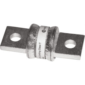 Class T Fuses
