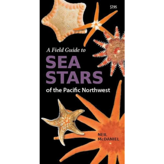 hbr5134 of Fine Edge A Field Guide to Sea Stars of the Pacific Northwest