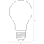 Ancor 24V Medium Screw Base Incandescent Bulbs - 55W to 50W