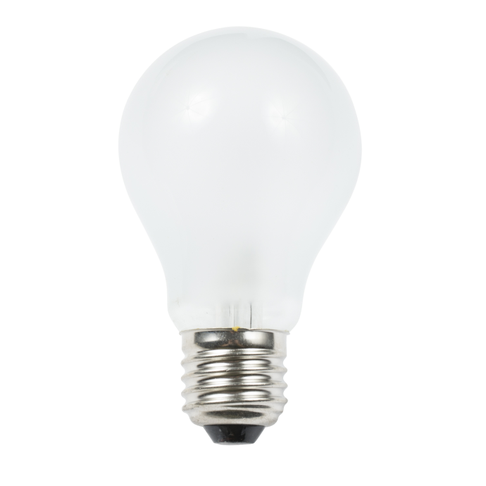 24V Medium Screw Base Incandescent Bulbs 55W to 50W