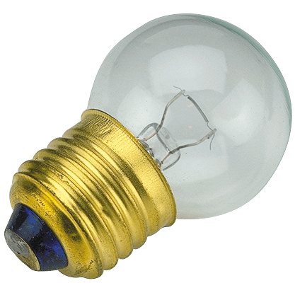 12V Medium Screw Base Light Bulb