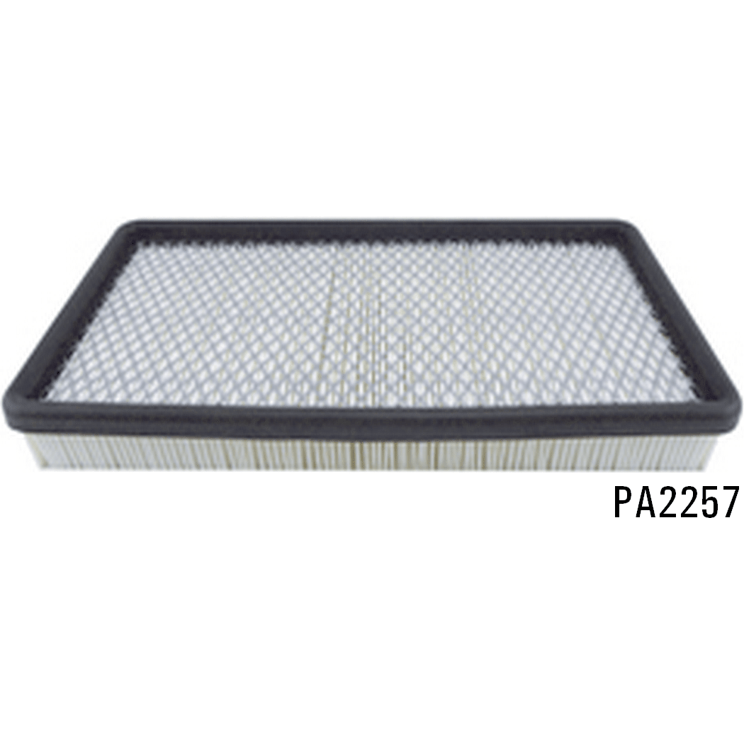 PA2257 - Panel Air Element