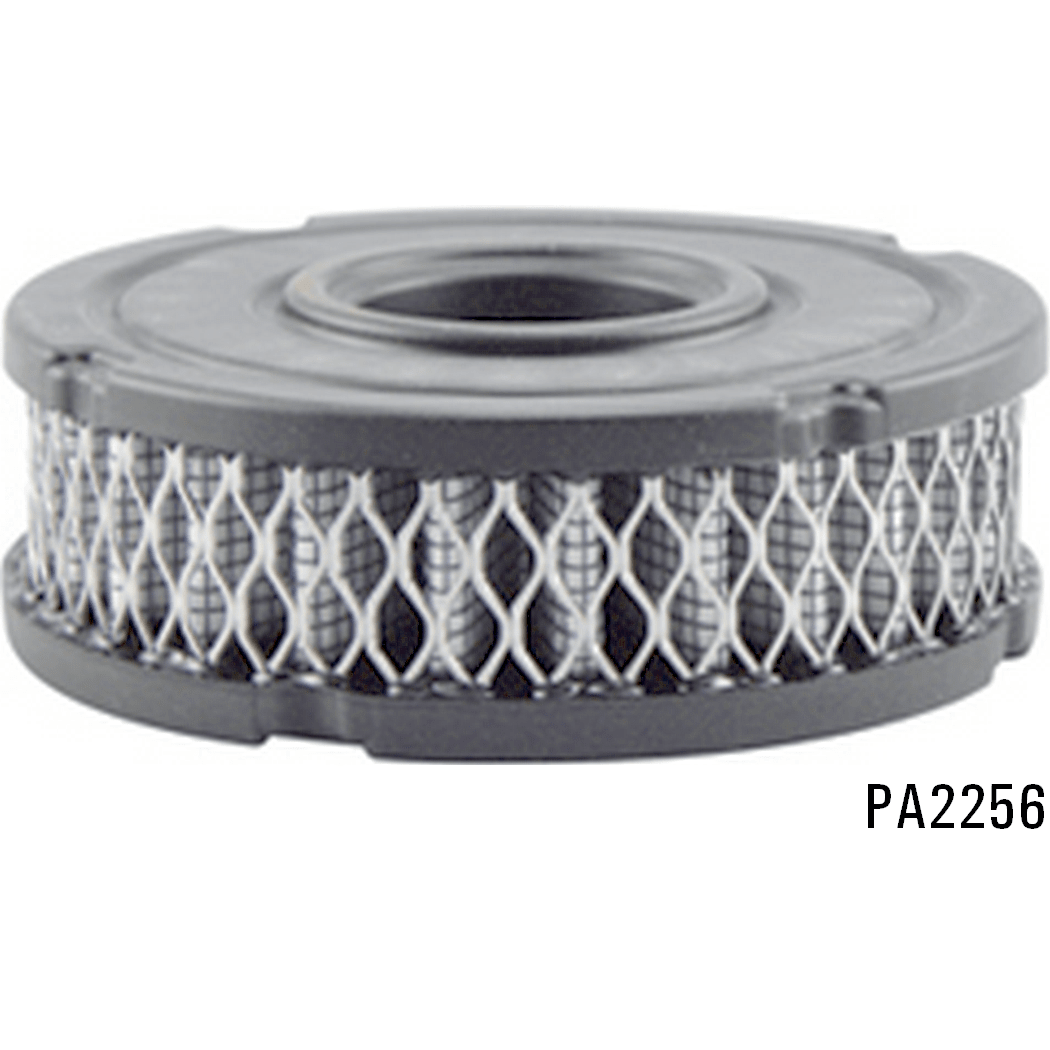 PA2256 - Air Breather Element