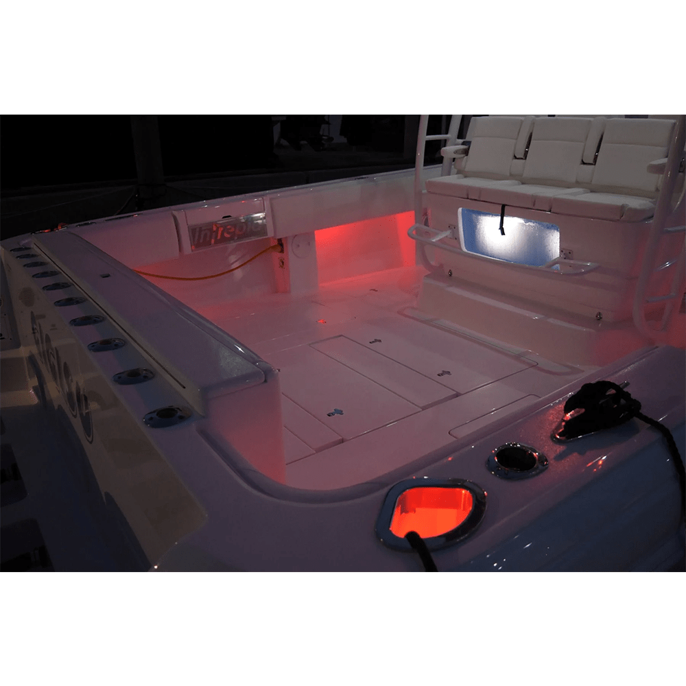 Lumitec Newt LED Livewell & Courtesy Lights Fisheries Supply