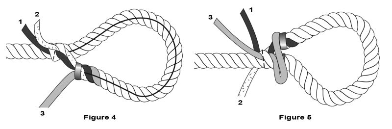 Tuck strands #2 and #3 for the eye splice. Tuck strands #2 and #3 for the eye splice.