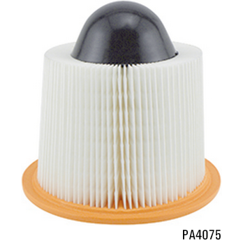 PA4075 - Air Element