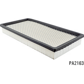 PA2163 - Panel Air Element