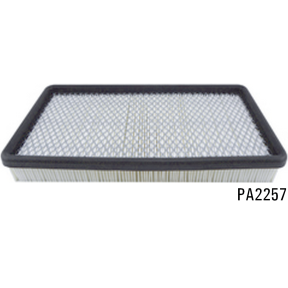 PA2257 - Panel Air Element