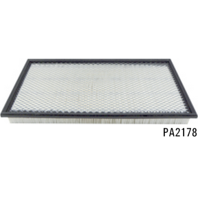 PA2178 - Panel Air Element