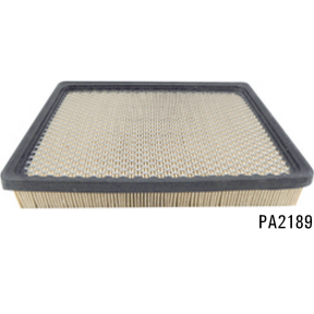 PA2189 - Panel Air Element