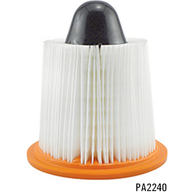 PA2240 - Air Element