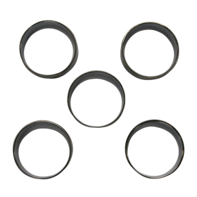 Cam Bearings