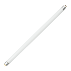 fluorescent-light