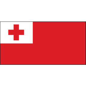 2FT X 3FT TONGA FLAG NYL-GLO