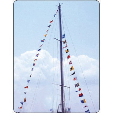  Decorative String of Code Flags
