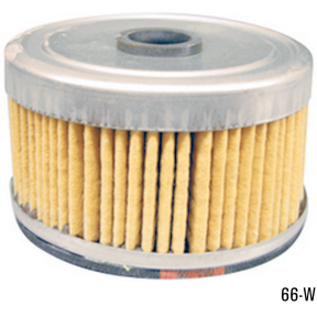 66-W - DAHL Fuel Element