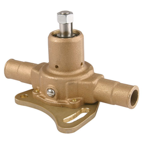 1IN PERKINS PUMP  NA005576
