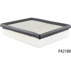 PA2160 - Panel Air Element