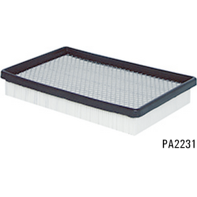 PA2231 - Panel Air Element