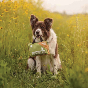 Adventure Dog Medical Kit - Trail Dog