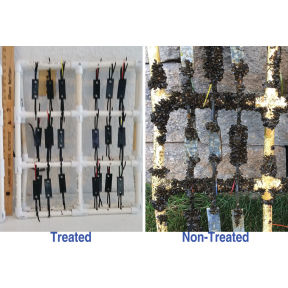 Barnacle Stop / Mussel Stopper 65 gm Applicator