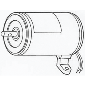 Replacement Motor 12V (Quad II Washdown Pump)