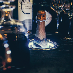 Divino The One Wine Cooler