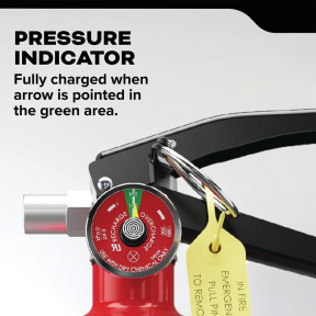 Pro 5 lb ABC Fire Extinguisher 21032143K
