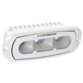 ECLIPSE Flush Fit Flood Light 4" - White