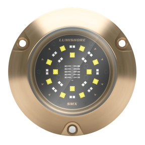 SMX54 Surface Mount 2in1 Underwater LED Light