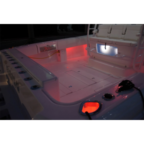 in use of Lumitec Lumitec Newt LED Livewell & Courtesy Lights, 7/8"