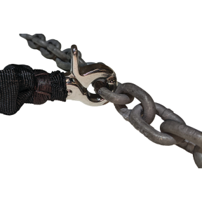 Anchor Bungees