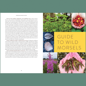 Pacific Harvest: A Northwest Coast Foraging Guide 