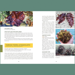 Pacific Harvest: A Northwest Coast Foraging Guide 