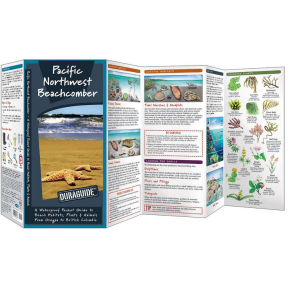 inside of Nautical Books Pacific Northwest Beachcombers