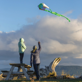 Pocket Flyer Single Line Kites