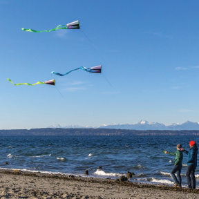 Pocket Flyer Single Line Kites