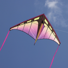 Zenith 5 Single Line Kites