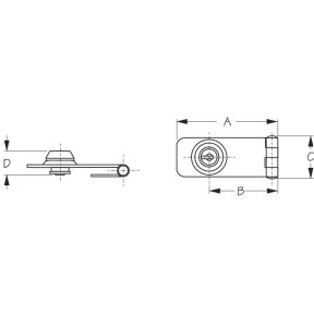 Locking Hasp