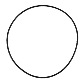 15945 of Sherwood O-RIng 15945