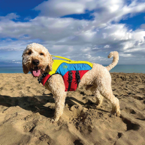 FIDO Flotation Lifejacket for Dogs
