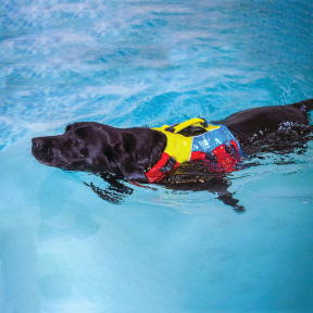 FIDO Flotation Lifejacket for Dogs