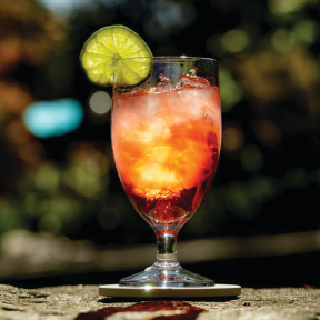 Revel 12 oz. Polycarbonate All Purpose Glass