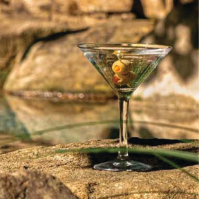 Revel 8 oz. Polycarbonate Martini Glass