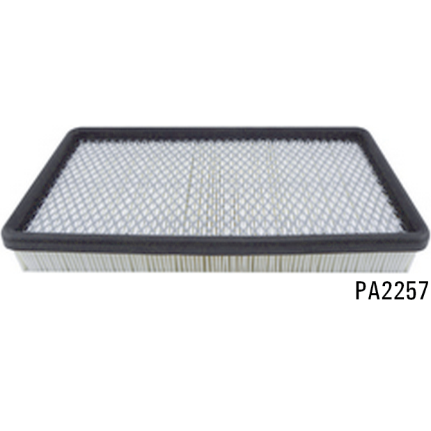 PA2257 - Panel Air Element