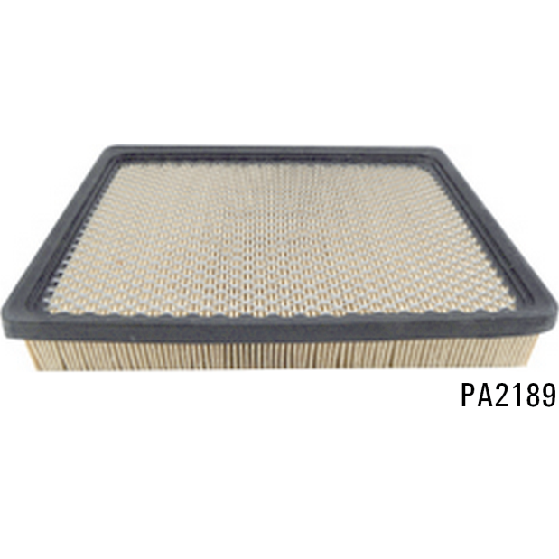 PA2189 - Panel Air Element